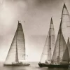 A-Meubel Sailing regatta on sea