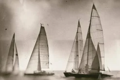 A-Meubel Sailing regatta on sea
