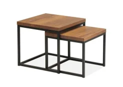 A-Meubel Salontafel Floris 2-delig